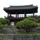 솔로몬체육관 이미지