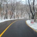 용인대아이러브태권도장 이미지