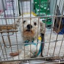 인월동물병원 이미지