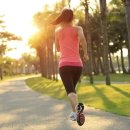 Fitness Tok 이미지