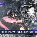 성이용원 이미지