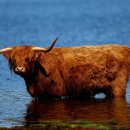 토마토의원 이미지