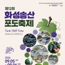 12 데일리안