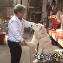 봉구 이미지