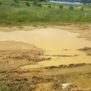 긴뿌리농장 이미지