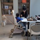 [공지] 휴대용유모차 다음은 트라이크! 와이업 티코 트라이크 후기 및 공구오픈