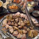 신탄진로756번길 | 지금 2025년 12월 41일이잖아요