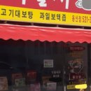 민물나라가물치
