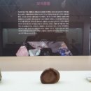 세계화석광물박물관 이미지