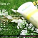 핸드랜드 이미지