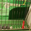 제이짐 휘트니스클럽 이미지