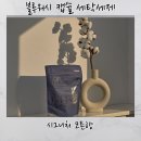 세탁프리워시 탑동점 | 피부에 닿는 순간까지 안심되는 선택 블루워시 캡슐 세탁세제 시그니처 코튼향 사용 후기