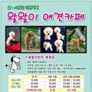 왈왈펫카페 이미지