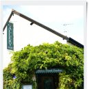 모네정원 이미지