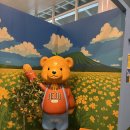 동광로10길 10 | 2506 | 제주2박3일 | 한라산 성공후기