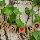 <b>아고다</b>