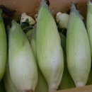 정선농장 이미지