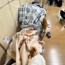 뒤늦은연말결산😹
