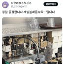 난다방 이미지
