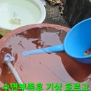 크로도 이미지