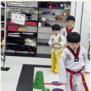 엠티에이태권도 이미지