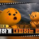 우리펀드샵 정책브리핑