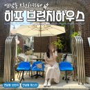 아늑하우스 | 연남동 브런치카페 히포 브런치하우스 내돈내산 후기 아늑한 분위기