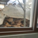 산골 | 이천 두메산골 순두부 솔직 후기: 남편은 왜 안 좋아했나?