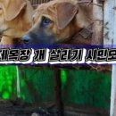 계양산목장 이미지