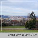 그로뷰 이미지