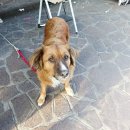 플로리안(3) 이미지