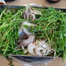 쭈꾸미마을 이미지