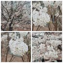 우리 금쪽같은 슈퍼자일리톨 재희공주에게♡ 이미지