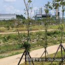 운곡지구 공원 이미지