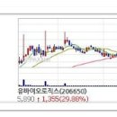 상한가종목 / 연속 상한가 / 상한가매매 정보 이미지