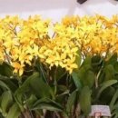 영양 만점 요리 이미지