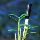 방막농장 이미지