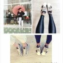 써니레더 이미지