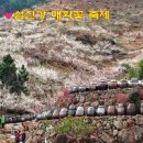 세명여행사 이미지