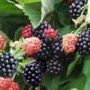 2016-주049 이미지