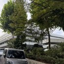 잠실종합운동장 제1수영장 | 잠실종합운동장 제1수영장 토요일 자유수영 후기