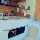 봄날의 댕댕이 | 따뜻한 봄날, 소중한 가족과 함께 떠나는 전주 여행