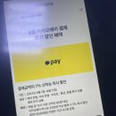 마이관광여행사 이미지