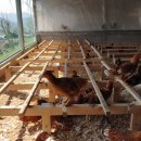 지리산농장2 이미지