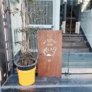 정원숙녀복