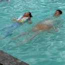 농업회사법인 우둥 | [26’ Summer] 아산 신상 물놀이장, <농업회사법인 숲> 내돈내산 방문후기(+자리, 준비물 팁)