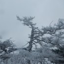 토월주유소 이미지