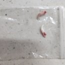 동그라미 동물의료센터 이미지