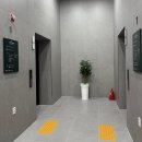 세운호텔 | 서울 호캉스 추천 5성급 호텔 신상 레지던스 호텔 더 보타닉 세운 명동 내돈내산 후기