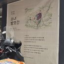[서울숲/성수/뚝섬맛집] 소녀방앗간: 서울숲 건강한 한식을 파는 식당 찐후기!! (feat. 저염건강식)